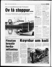 Síða 6