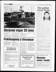 Síða 7