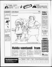 Síða 15