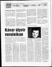Síða 2