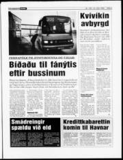 Síða 3