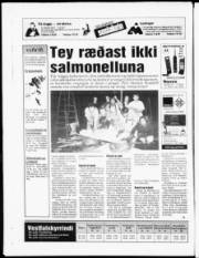 Síða 19