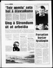 Síða 3