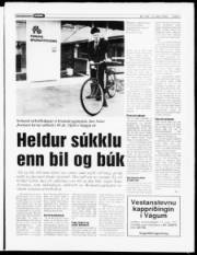 Síða 7