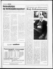 Síða 16
