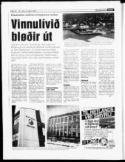 Síða 17