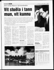 Síða 3
