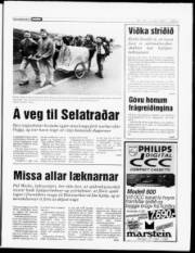 Síða 5