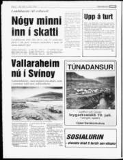 Síða 8