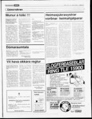 Síða 21