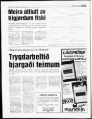 Síða 4