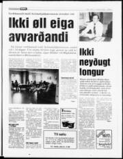 Síða 7