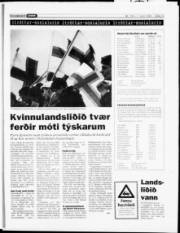 Síða 12