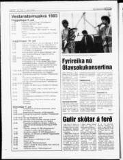 Síða 13