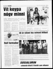 Síða 3