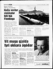 Síða 5