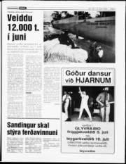 Síða 7