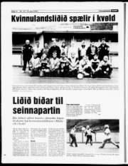 Síða 12
