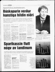 Síða 5