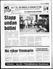 Síða 6