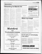 Síða 17