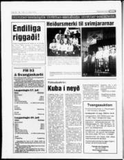Síða 19