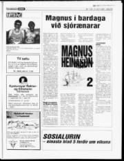 Síða 22