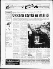 Síða 23
