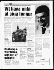 Síða 3
