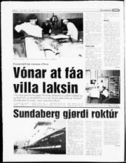 Síða 6