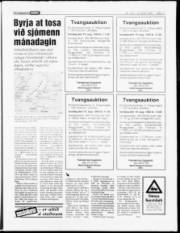 Síða 11