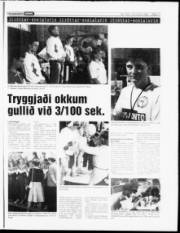 Síða 16