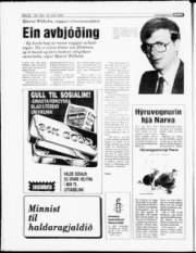 Síða 21
