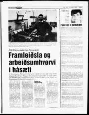 Síða 7