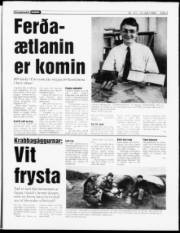 Síða 3