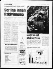 Síða 5