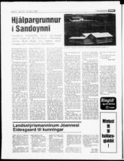 Síða 11