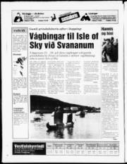 Síða 15