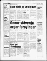 Síða 3