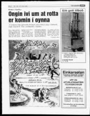 Síða 4