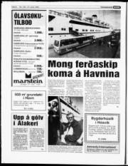 Síða 8