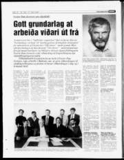 Síða 15