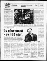 Síða 2