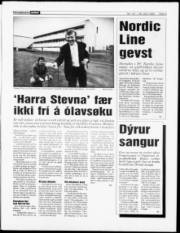 Síða 3