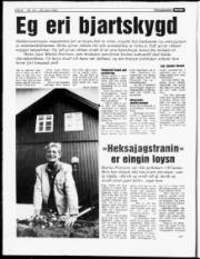 Síða 8