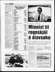 Síða 11