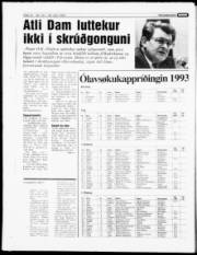 Síða 17