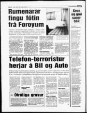 Síða 6