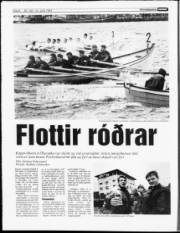 Síða 8