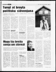Síða 14